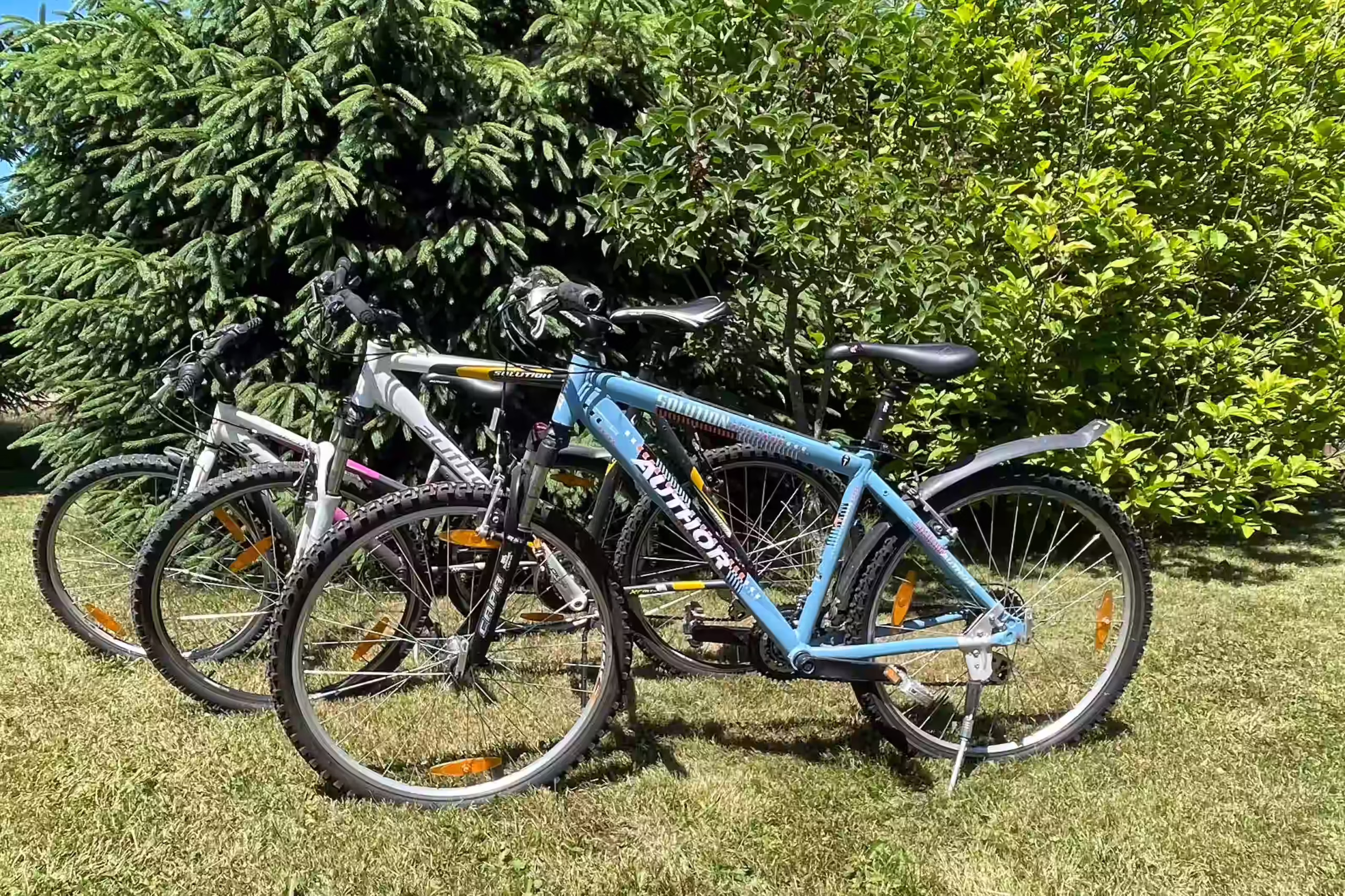 wynajem-rowerow-noclegi-miedzylesie